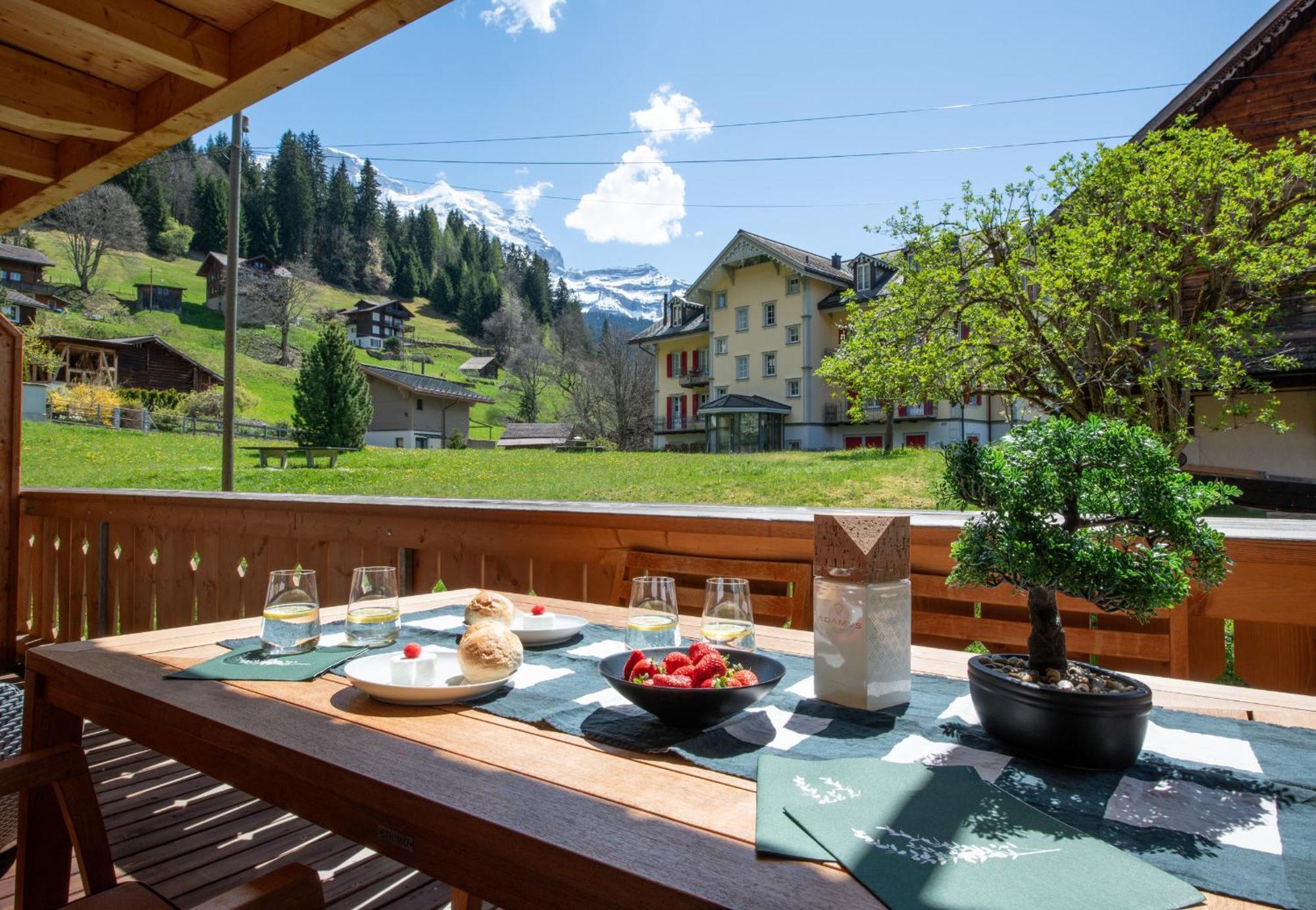 Panoramapark Soleil Chalet C Wengen Exteriér fotografie