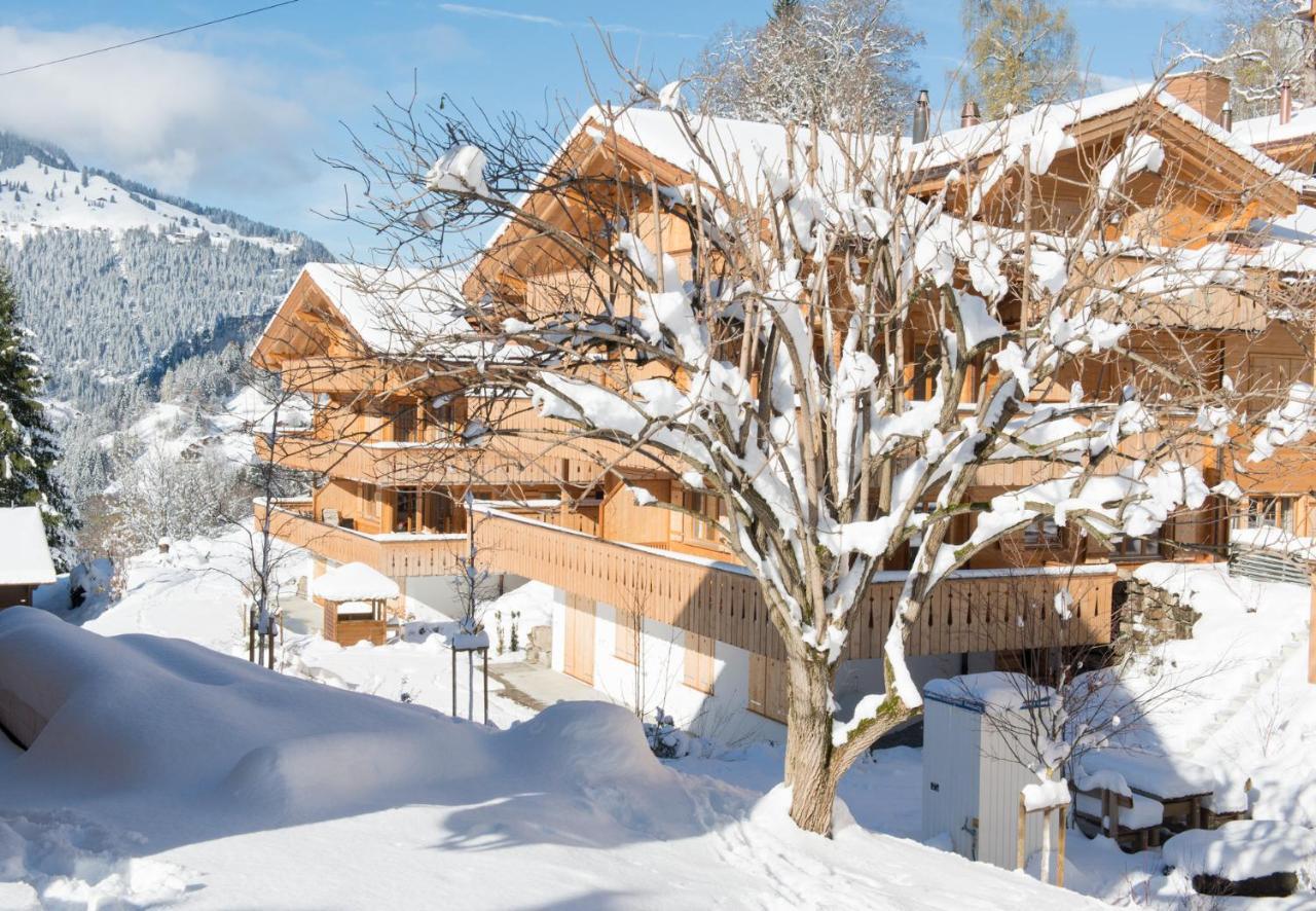 Panoramapark Soleil Chalet C Wengen Exteriér fotografie
