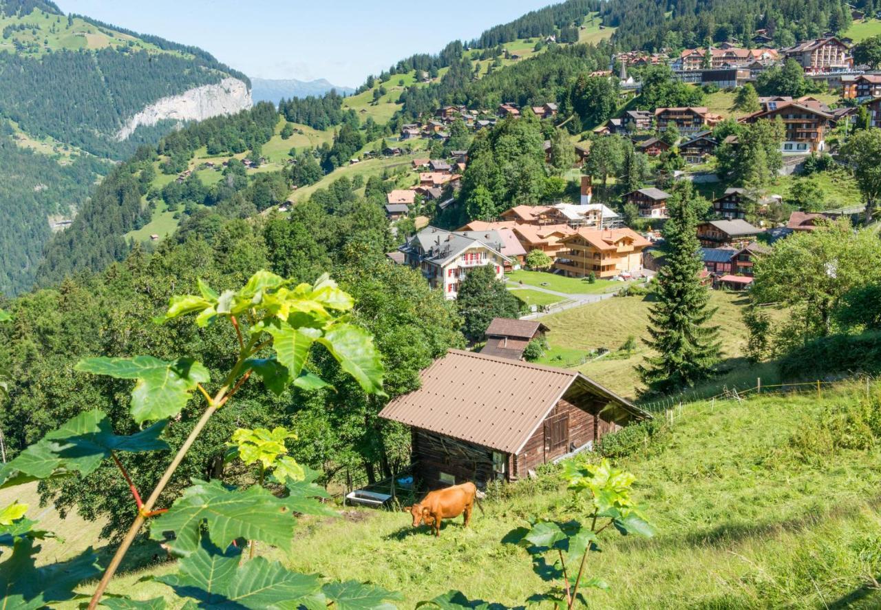 Panoramapark Soleil Chalet C Wengen Exteriér fotografie