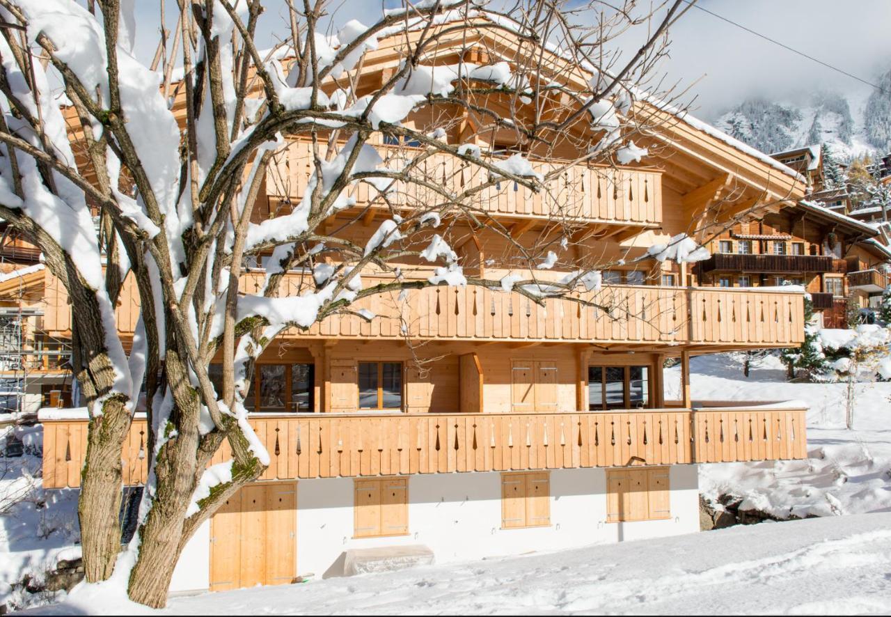 Panoramapark Soleil Chalet C Wengen Exteriér fotografie
